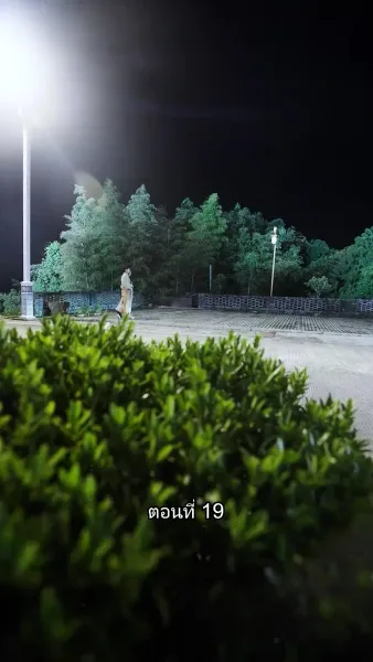 บอดี้การ์ดเจ้าเสน่ห์