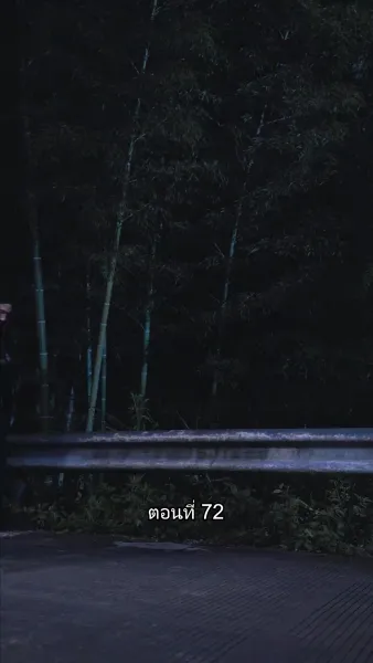 บอดี้การ์ดเจ้าเสน่ห์