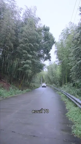 บอดี้การ์ดเจ้าเสน่ห์