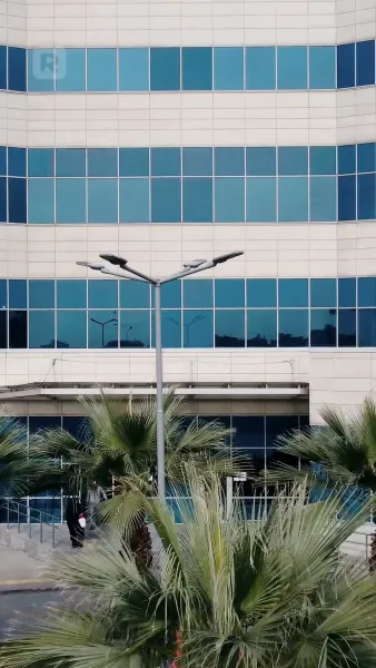 ฉันท้องกับแด๊ดดี้ซีอีโอจอมโหด