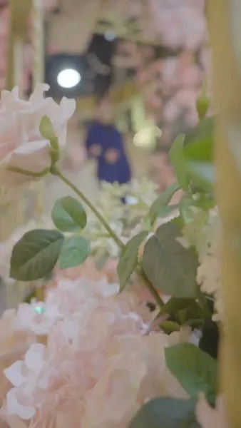 สินสอดล่มสู่รักนิรันดร์