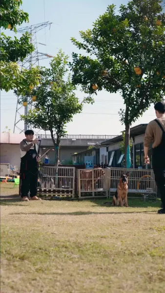 ครูฝึกสุนัข