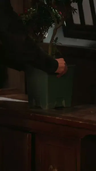 ย้อนเวลามารักท่าน