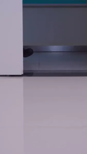 สัญญารักฤดูร้อน