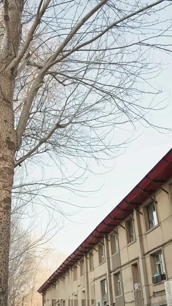 กลเกมโกง