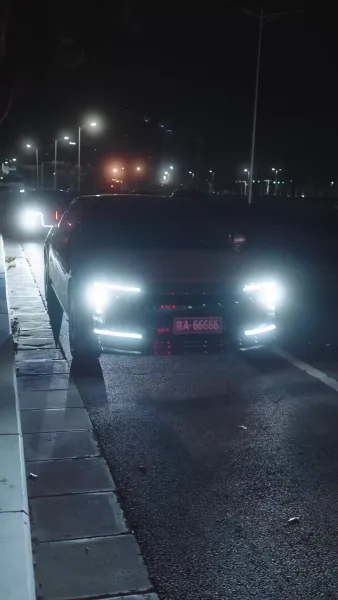 กุหลาบกับสนภูเขา(พากย์เสียง)