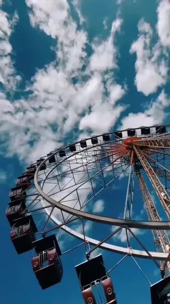 มิสเตอร์โม ผู้หยั่งรู้ใจ