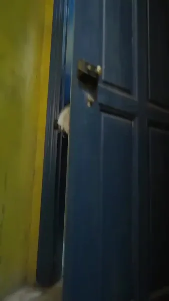 เด็กน้อยที่น่ารัก: แม่ของเธอสวยและสปอร์ต