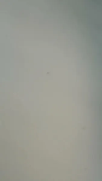 สนมปีศาจสยบ