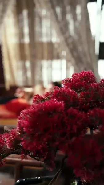 สนมปีศาจสยบ