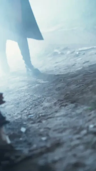 หยิบได้นกคีรีบูนจอมสู้