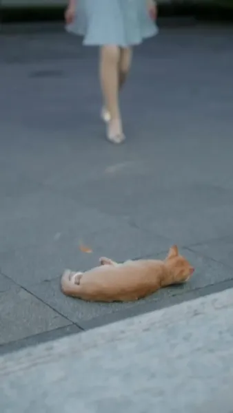 เมื่อฉันได้พบ เธออีกครั้ง