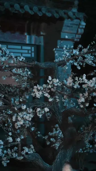 วาสนาองค์หญิง