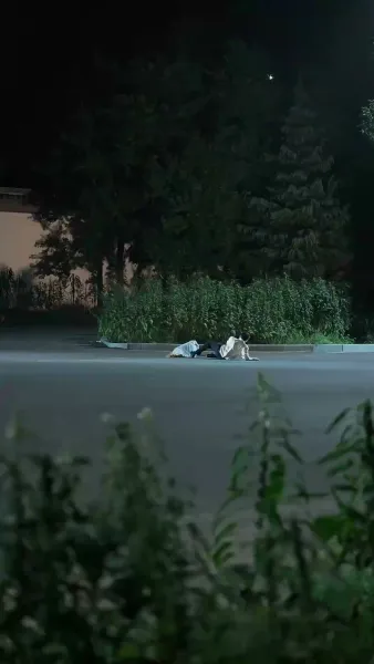 หนี้รักคืนใจ