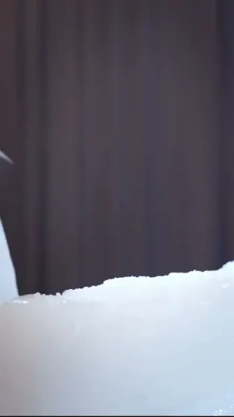  เบบี้เทพเจ้าอาหาร