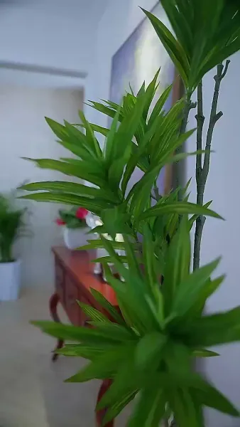 ดวงดาวสุกสกาวเช่นเธอ