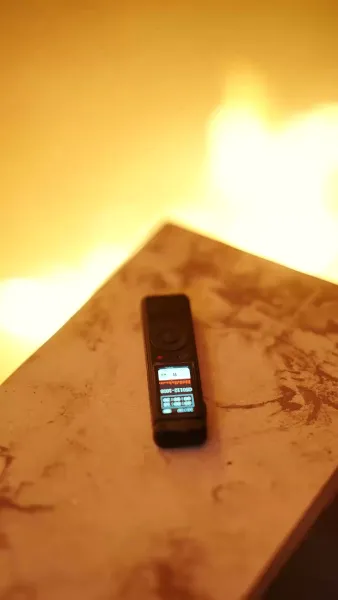 เกมรักเกมหลอก