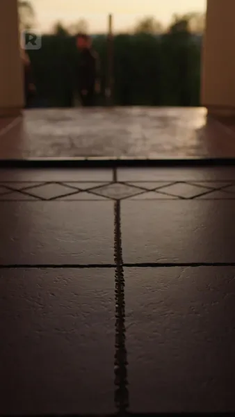 ถอยออกไป! ฉันคือนางซีอีโอตัวจริง