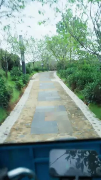 เจ้าสาวสัญญา แต่ดื้อสุดขั้ว