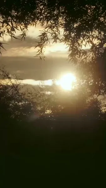 สิ้นกลีบบุปผา(พากย์ไทย)