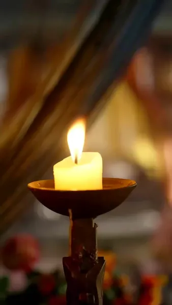 สิ้นกลีบบุปผา(พากย์ไทย)