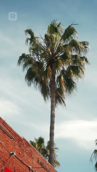 วิธีจับหัวใจซูเปอร์สตาร์