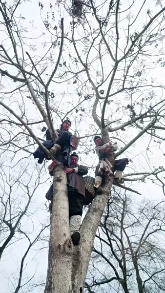 เด็กนำโชคจากฟ้า ครอบครัวเฮงทั้งบ้าน