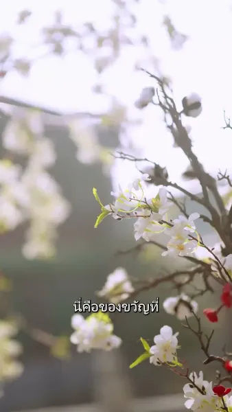 ย้อนกลับไปเป็นฮ่องเต้หญิง