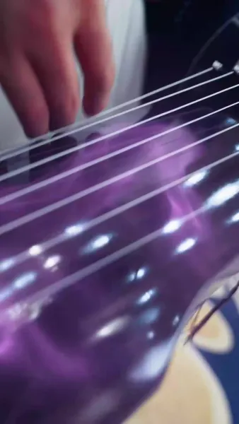 ผู้พิทักษ์แห่งชาติ