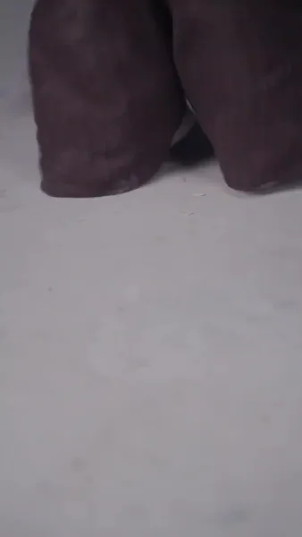 กับดักรักคำสาปสายเลือด