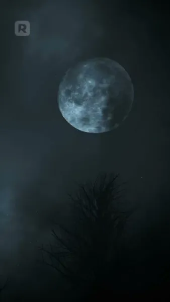 (พากย์) ลิขิตสาปรัก