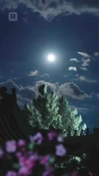 (พากย์) ชายาฮ่องเต้ ข้านี่แหละคือชะตาหงส์ตัวจริง