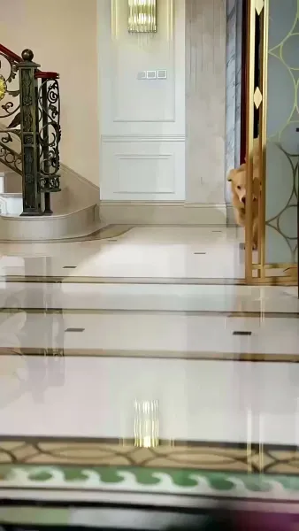 ภาพพรางรัก(พากย์ไทย)