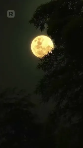 ย้อนเวลาตามใจพี่สาวทั้งเจ็ด