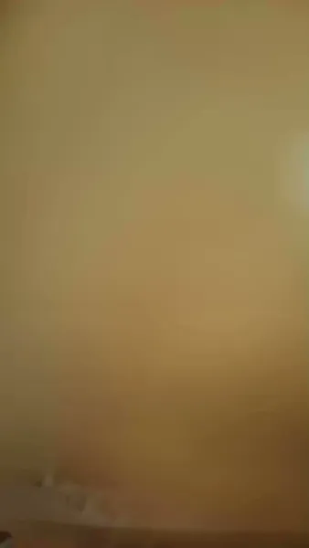 ปลอบหัวใจนายพลคลั่งรัก