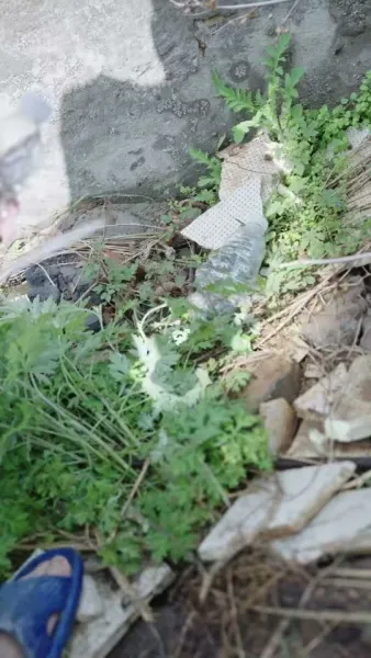 การแก้แค้นของนักแสดง