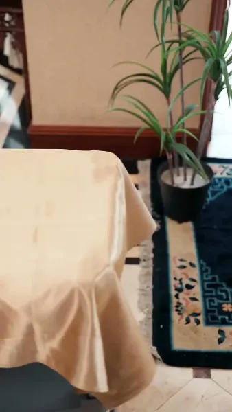 สาวใช้สนองแค้น