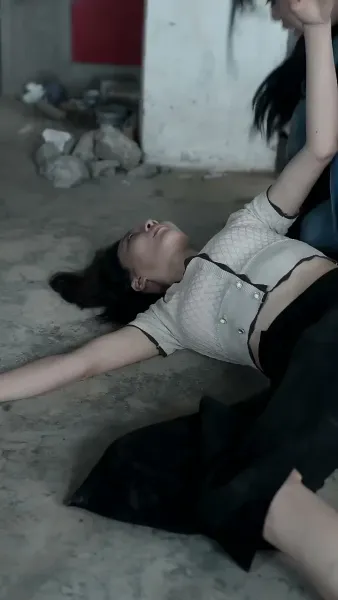 สาวใช้สนองแค้น