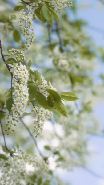 ถูกเข้าใจผิดว่าเป็นชู้