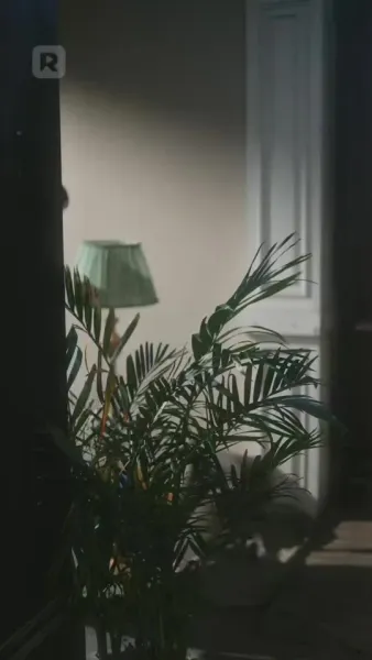 ผิดธรรมเนียม