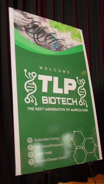 เพลิงแค้นนางพญา