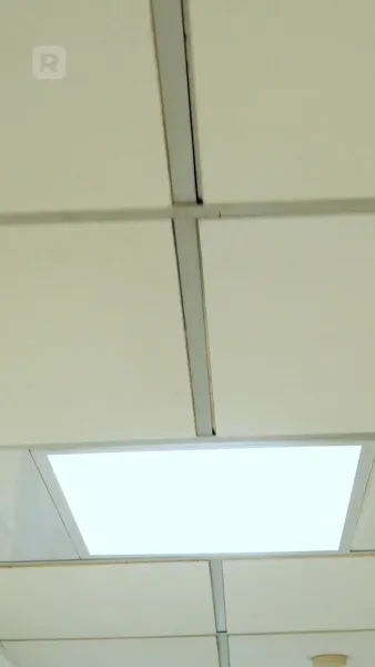 เพลิงแค้นนางพญา