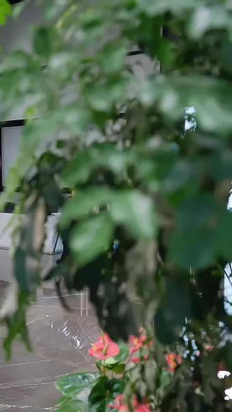 เด็กนำโชค แห่งตระกูลโจว