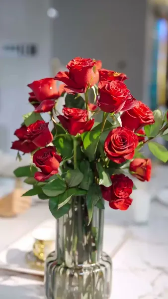 วิวาห์ ที่ซ่อนรัก