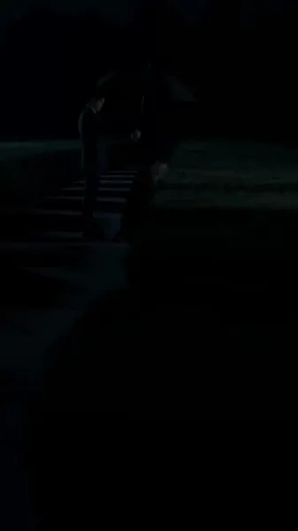 ความเสียใจของซีอีโอ: คุณจะรักฉันอีกครั้งได้ไหม?