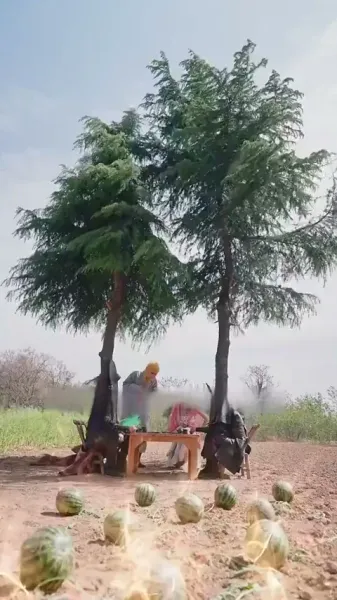 ฝึกฝนสู่ตะวันตก: เพื่อการกอบกู้เธอ