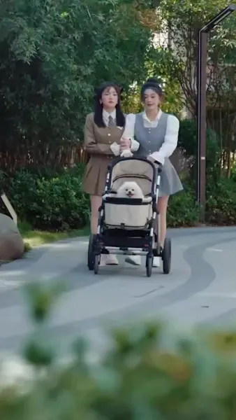 สาวบ้านนอกพลิกวงศ์ตระกูล