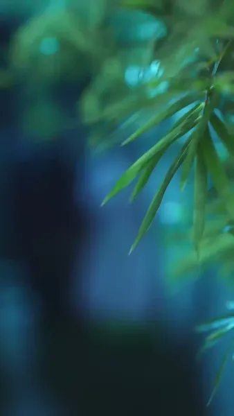 พลิกแค้นสู่แดนสุขา