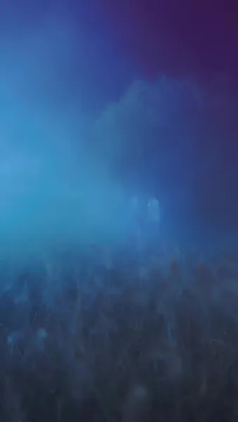 พลิกแค้นสู่แดนสุขา