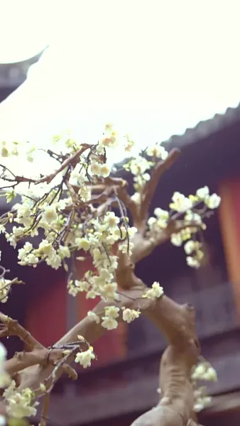 พลิกแค้นสู่แดนสุขา